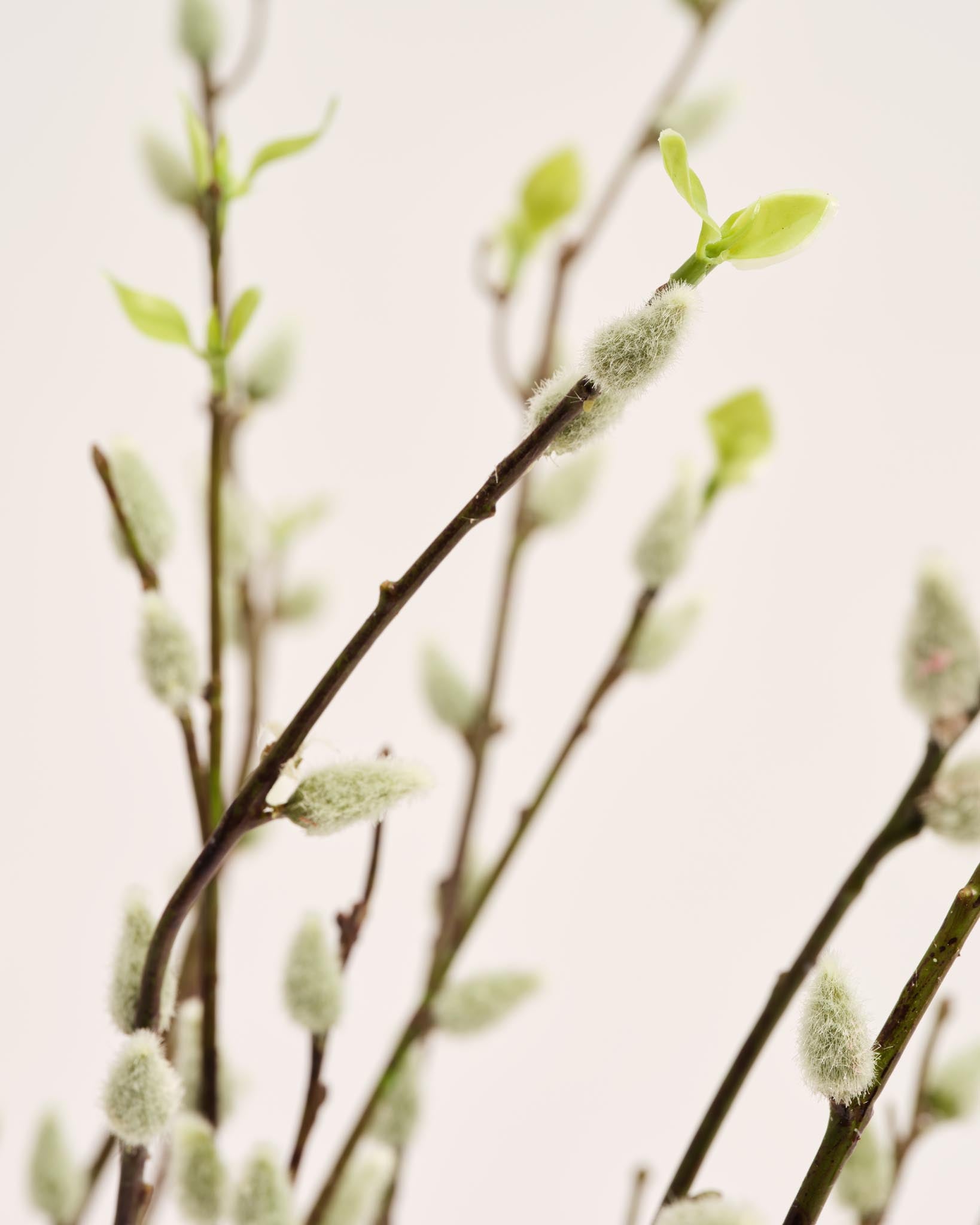 Zijden Boeket | Good MC.14