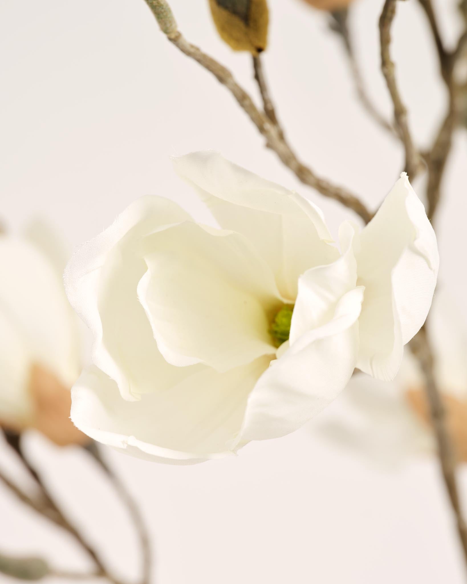 Zijden Magnolia Boeket | Good MC.37