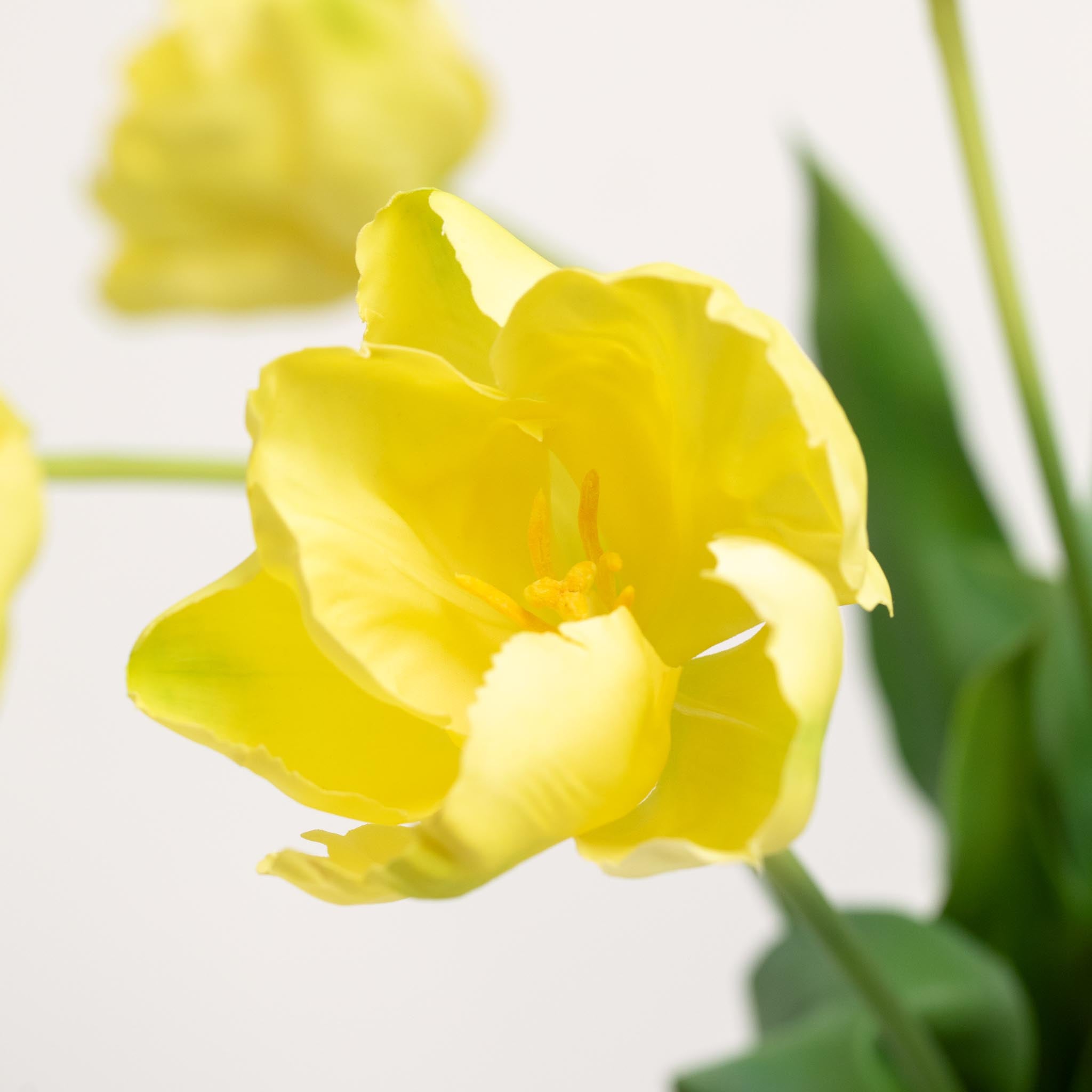 Silk Tulip Bouquet | Good MC.26