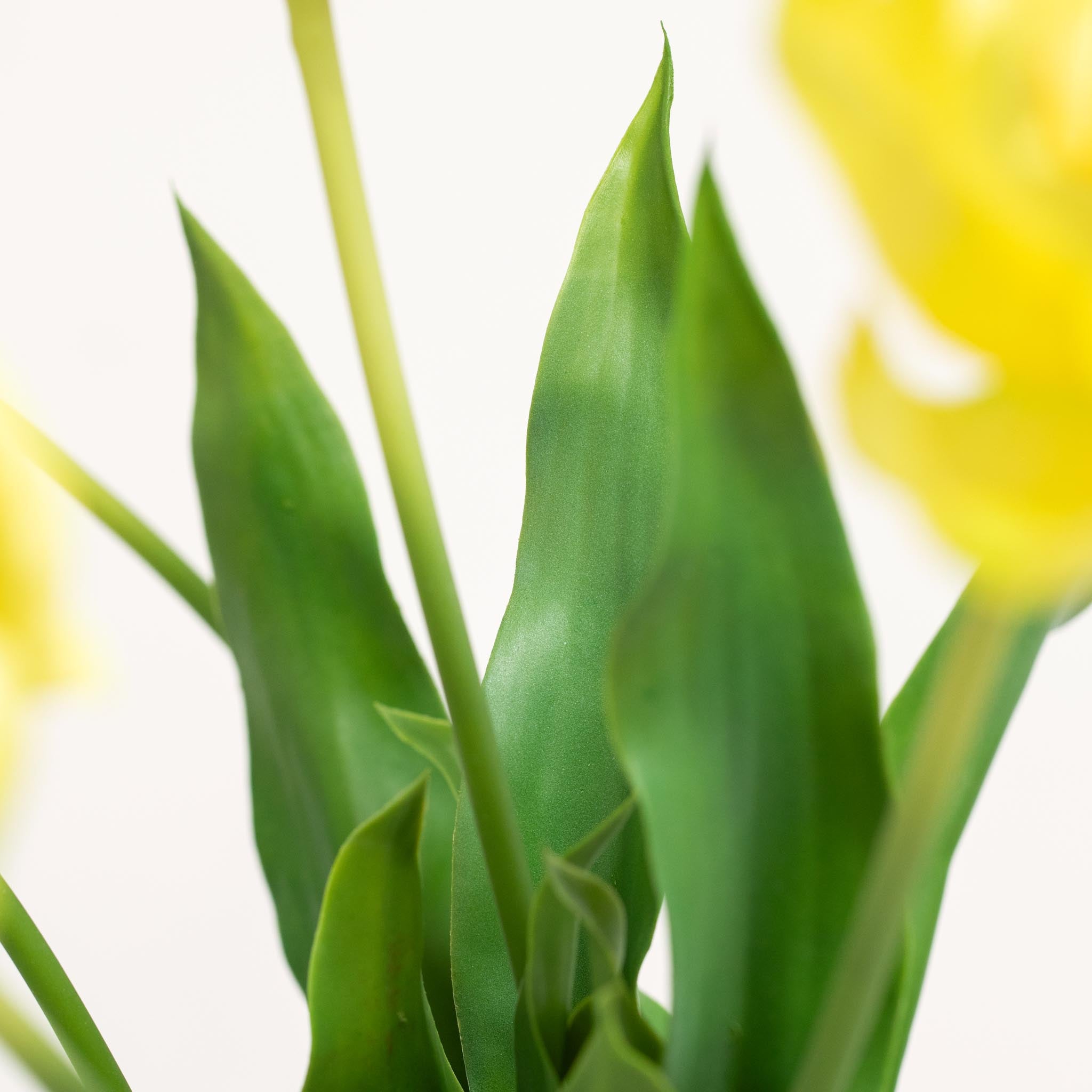 Silk Tulip Bouquet | Good MC.26