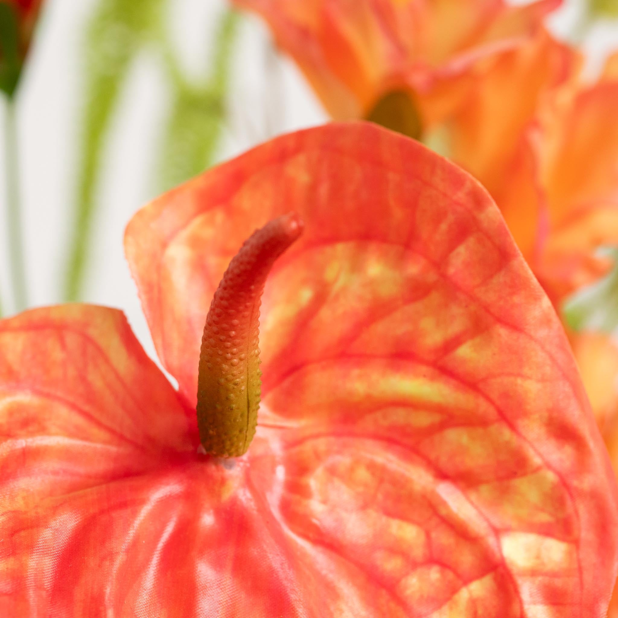 Silk Bouquet | Good SS.34