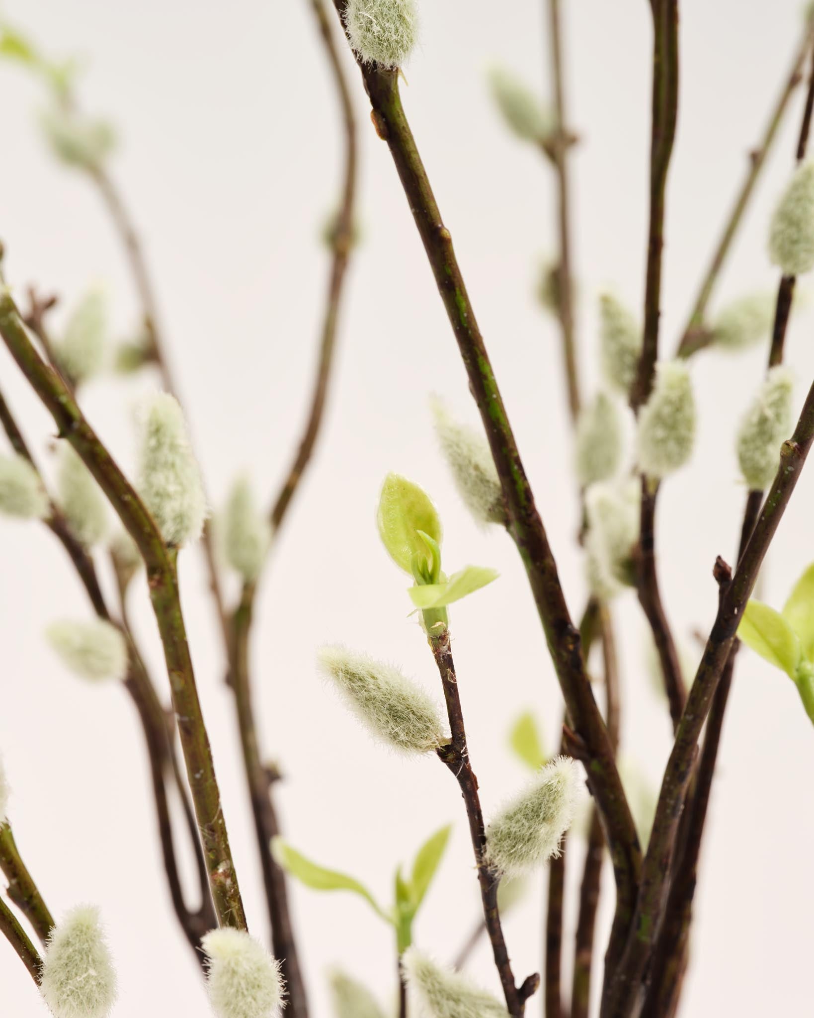 Zijden Boeket | Good MC.14