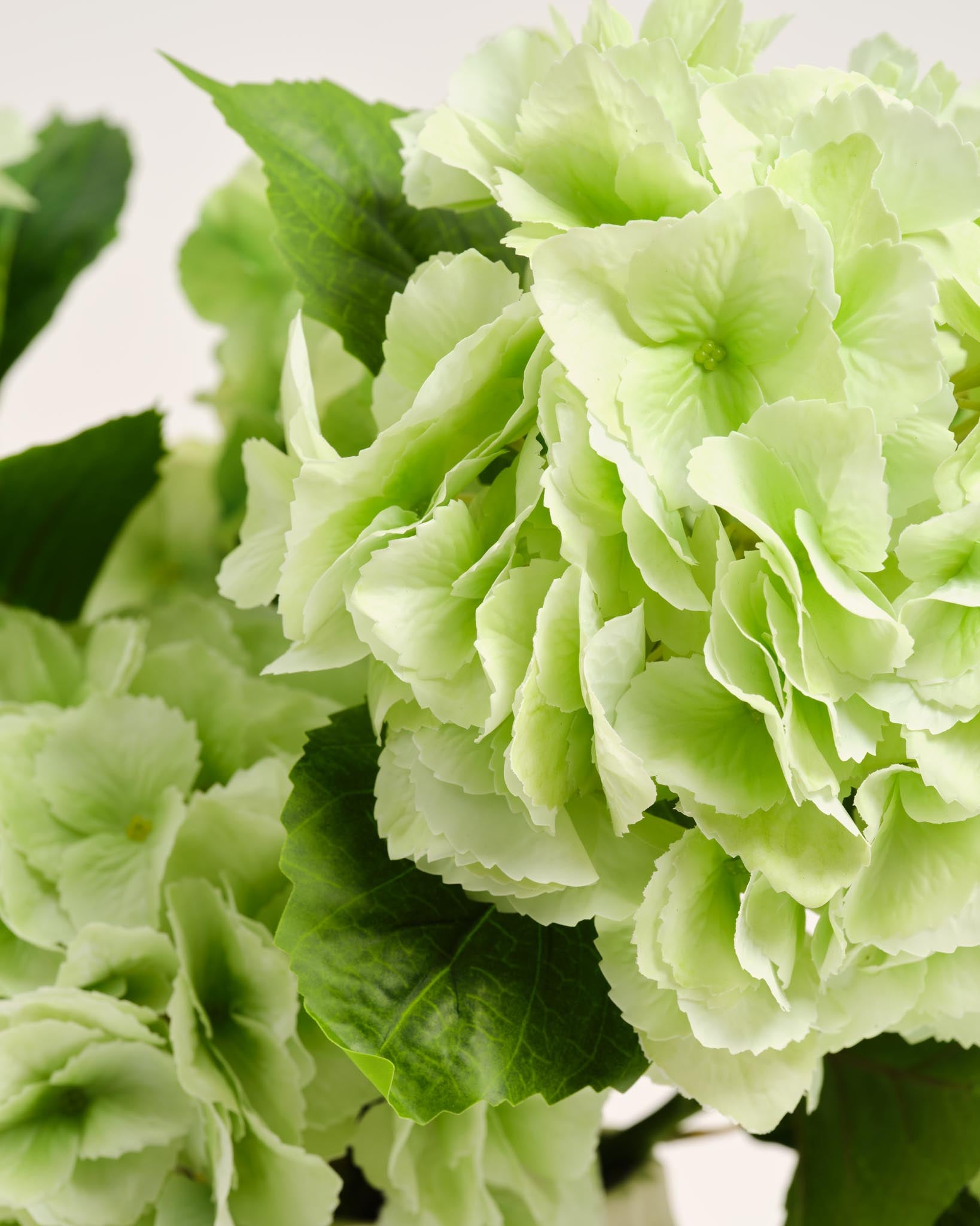 Bouquet En Soie d’Hortensias | Good MC.21