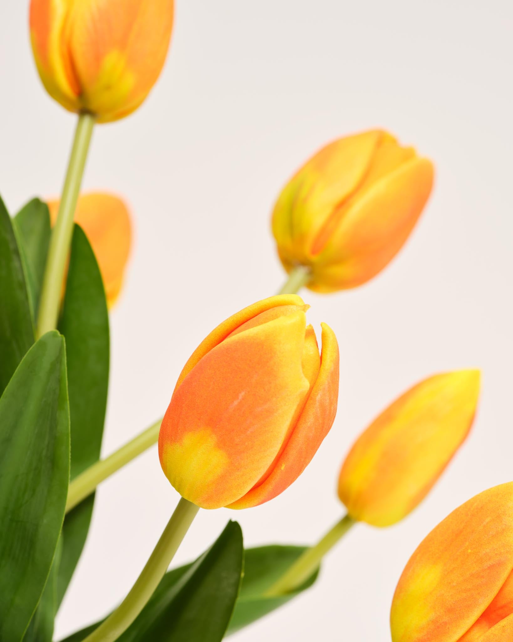 Bouquet De Tulipes En Soie | Good MC.24