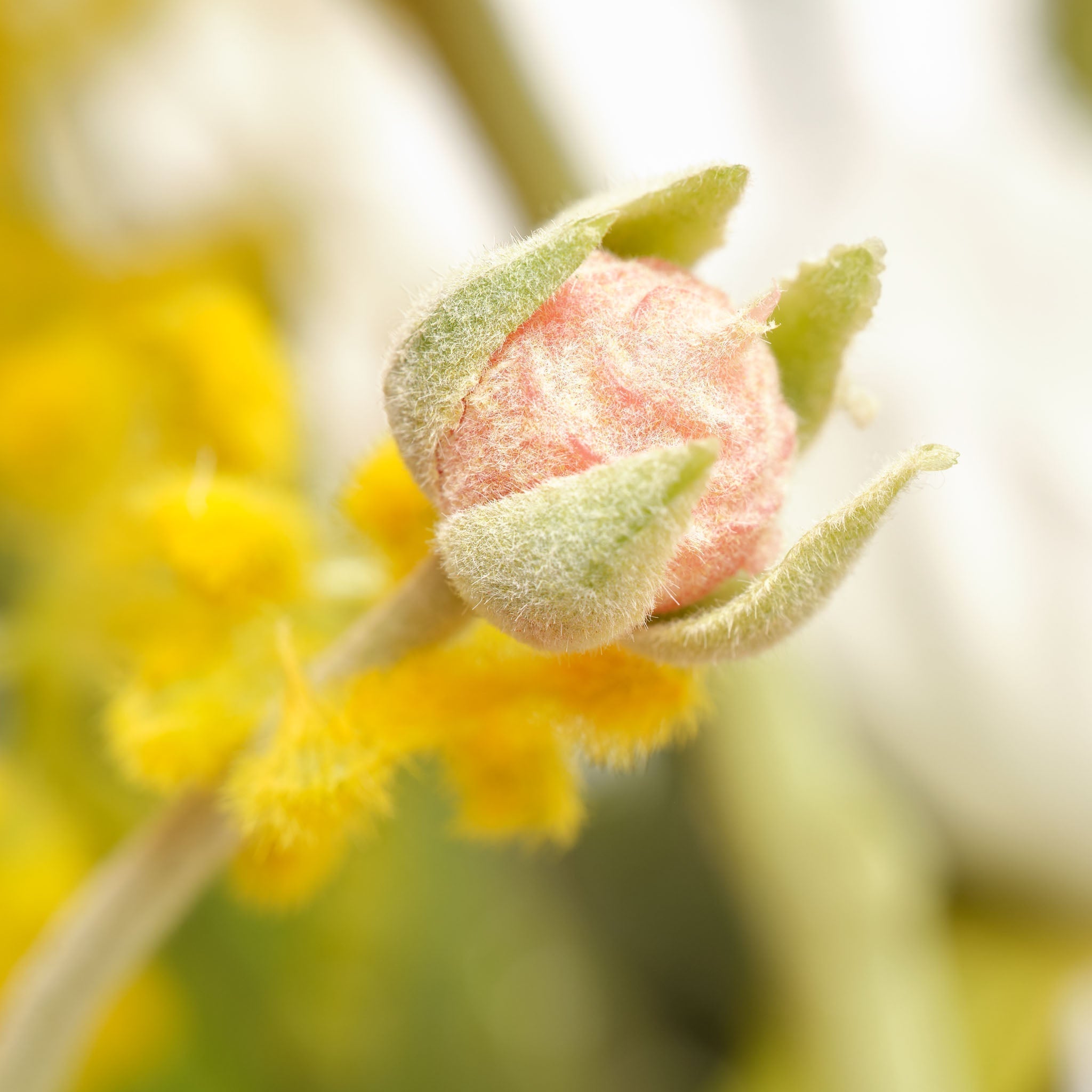 Zijden-Kunstbloemen-Boeket-SS17-detail1.jpg